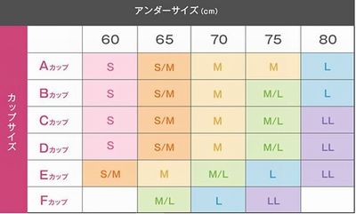 VIAGEナイトブラのサイズ表の画像